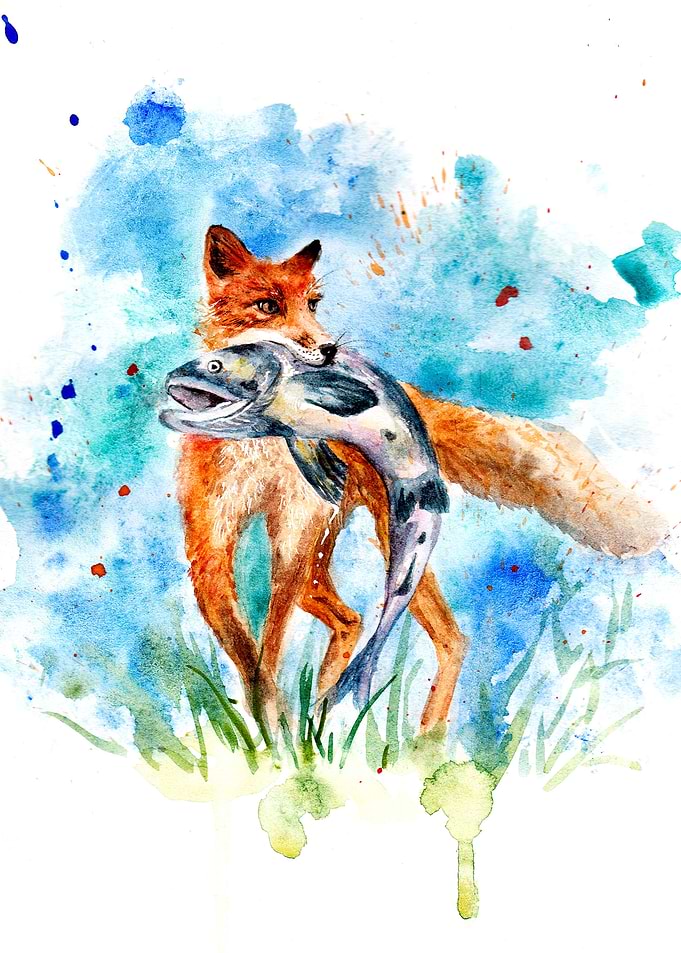 Fox