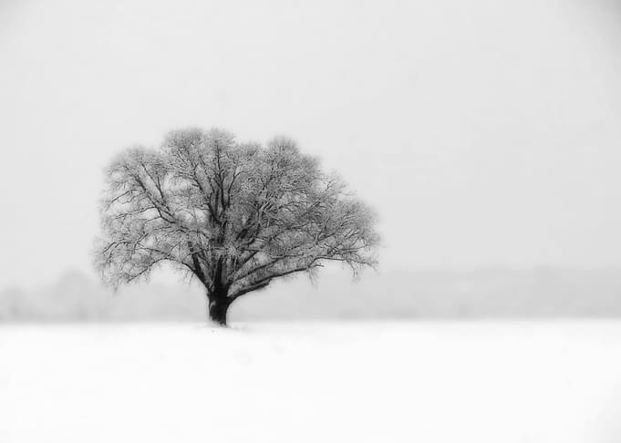 First Snow...