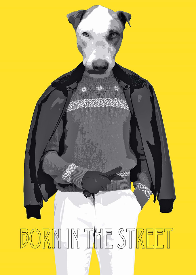 the mutt
