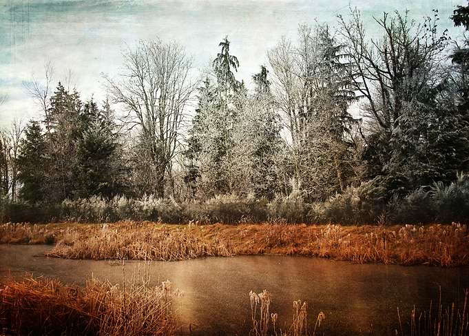 frosty morning