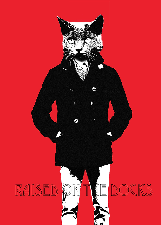 the cool cat