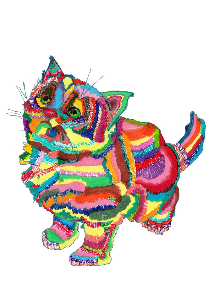 Rainbowcat