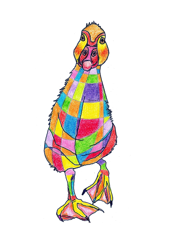 Rainbowduck