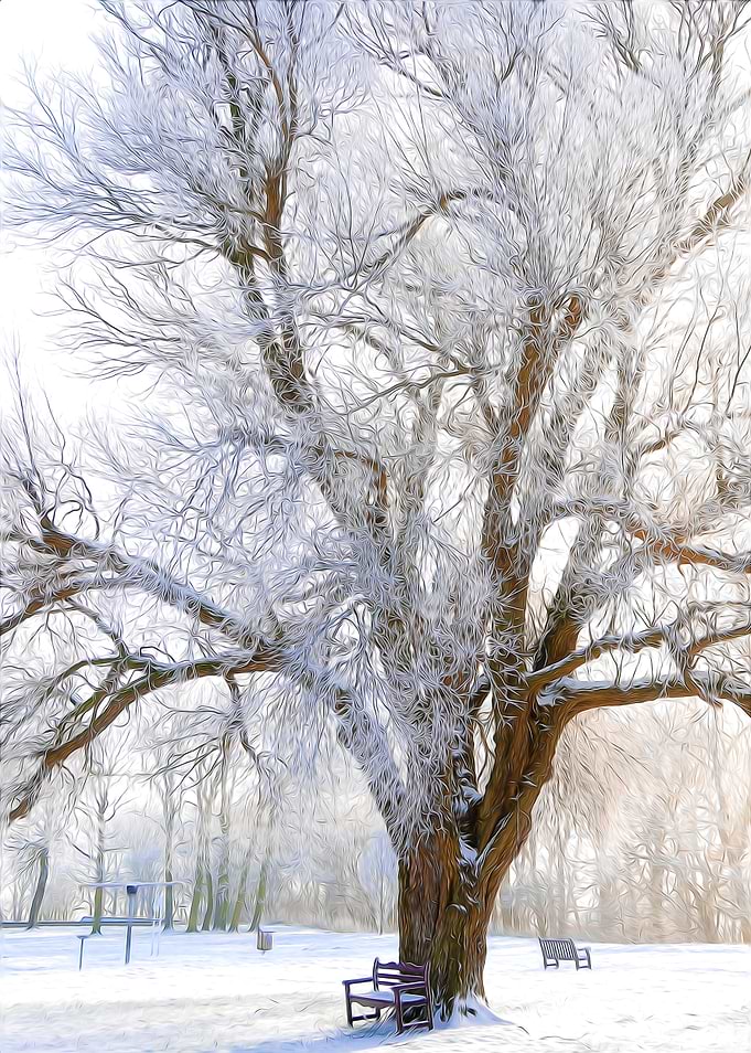 Winter tree