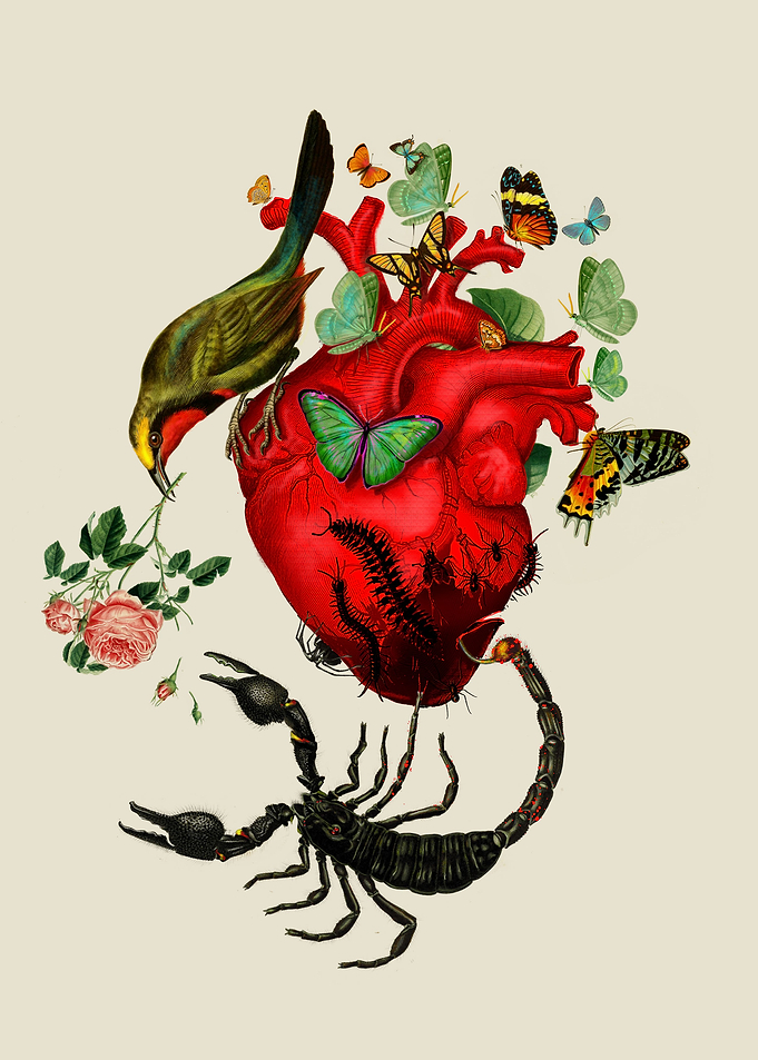 Heart attack