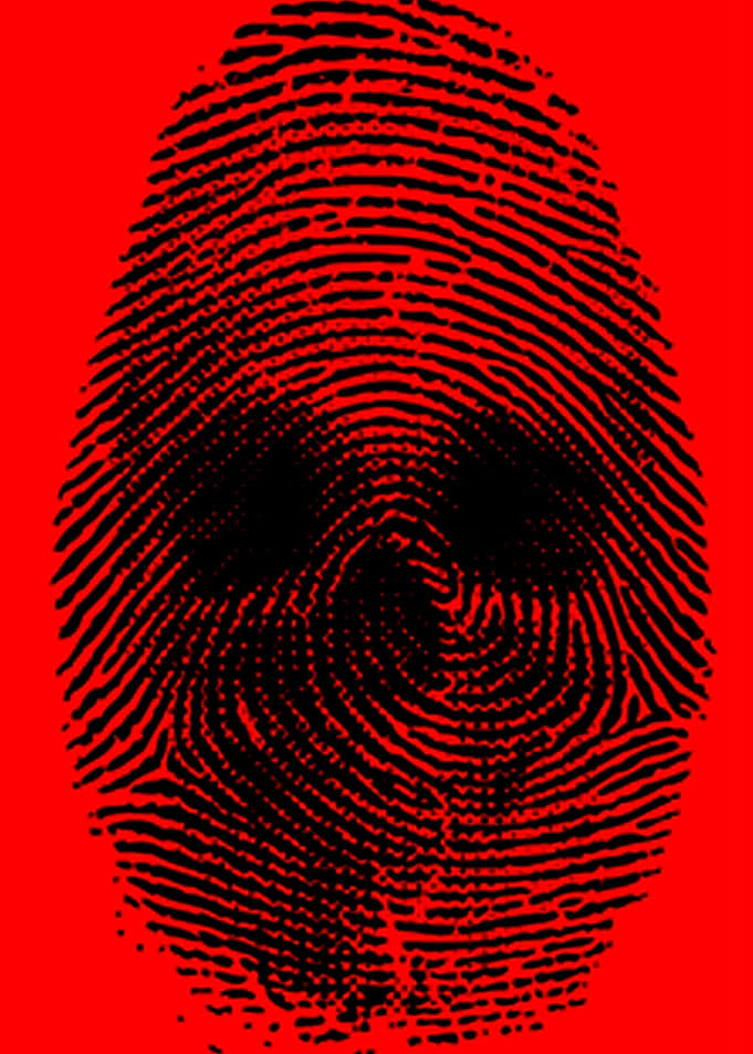 Identity Theft
