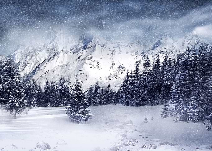 Christmas Winter