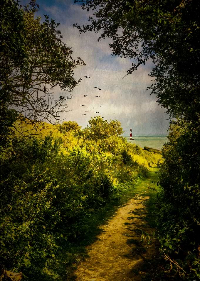 On The Path To The Sea