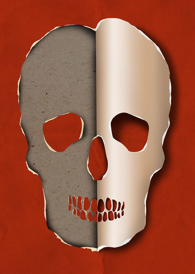 3d skull