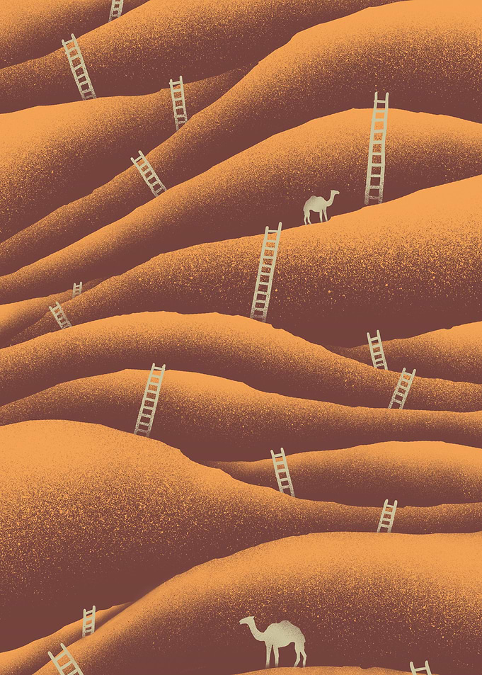 Camels and ladders