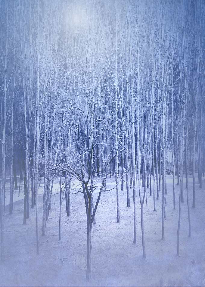 Frosty Night