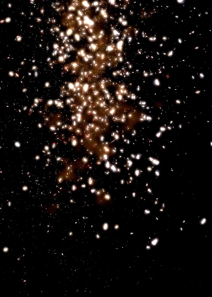 GOLD RAIN or DUST TO DUST