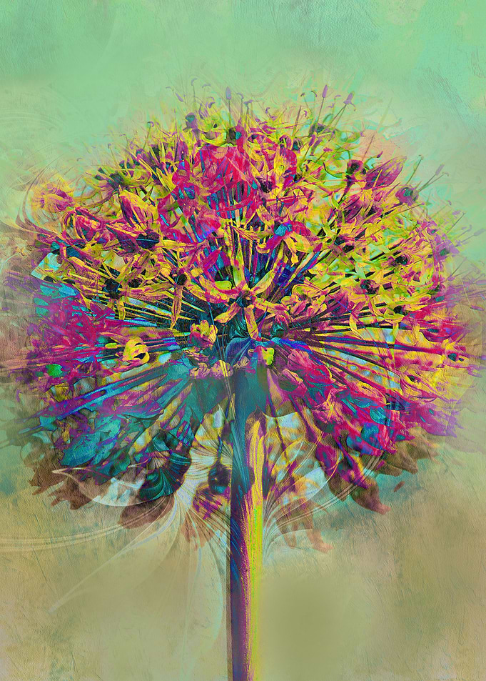 Dandelion Fantasy