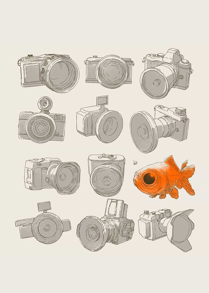 Fisheye