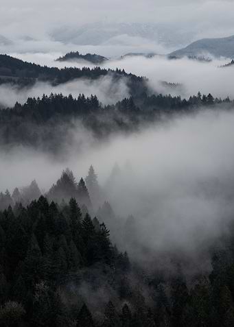 Hinterlands