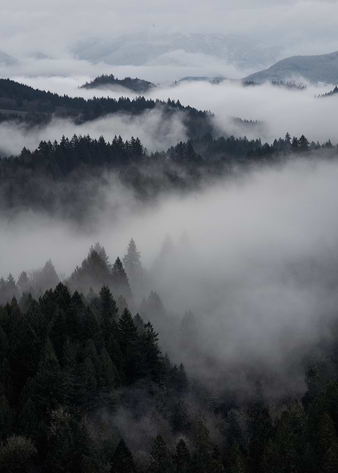 Hinterlands