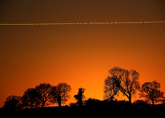 Treeline