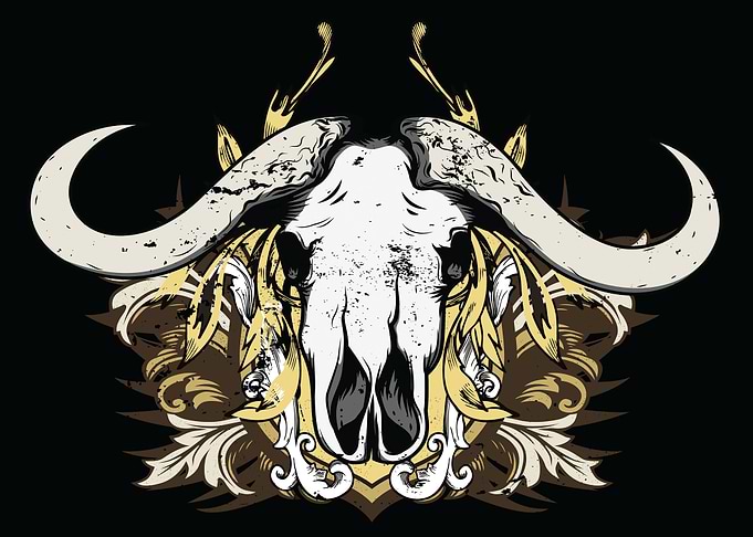 Buffalo Skull