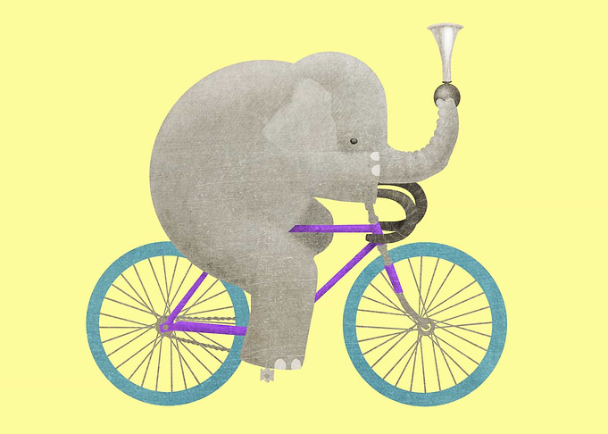 Ride color option
