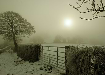 Winter fog