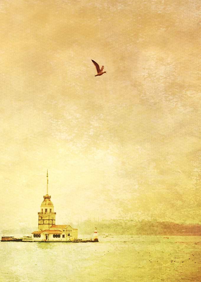 Cloudy day