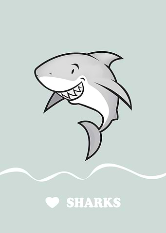 Love sharks