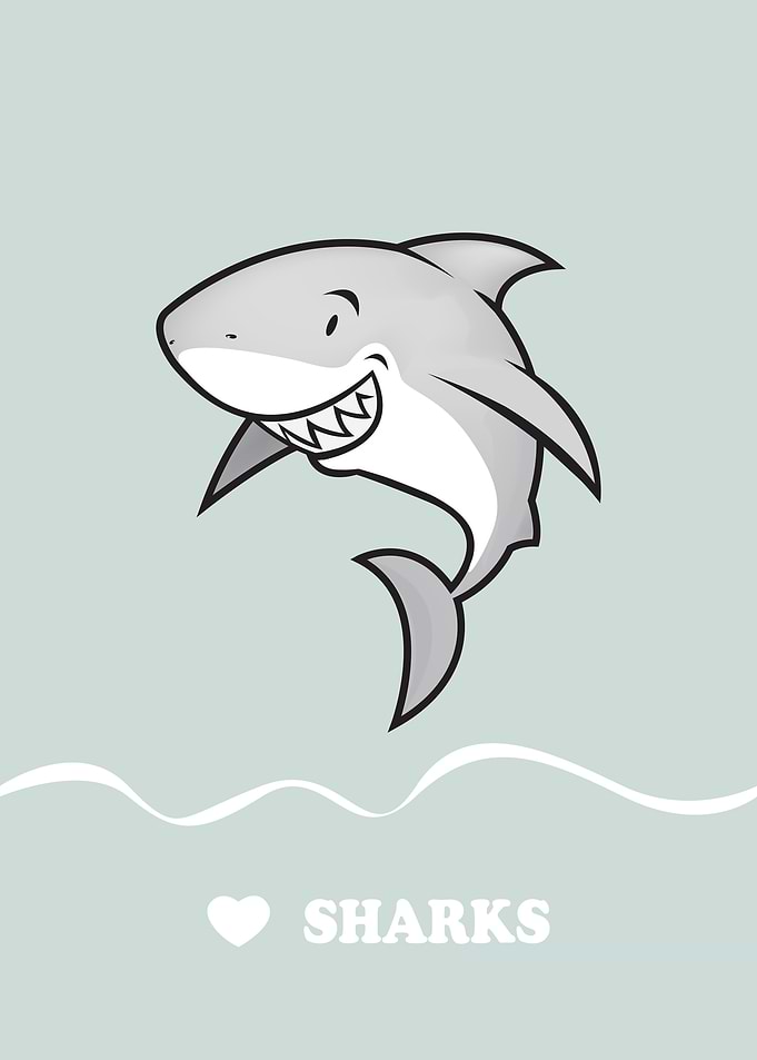 Love sharks