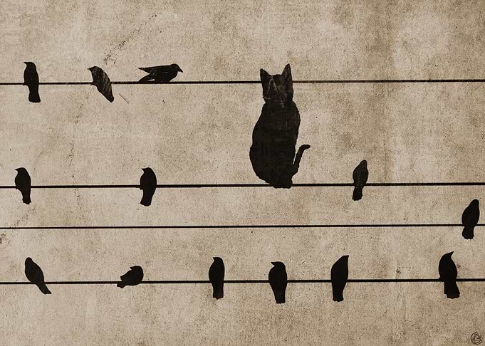 fitting in