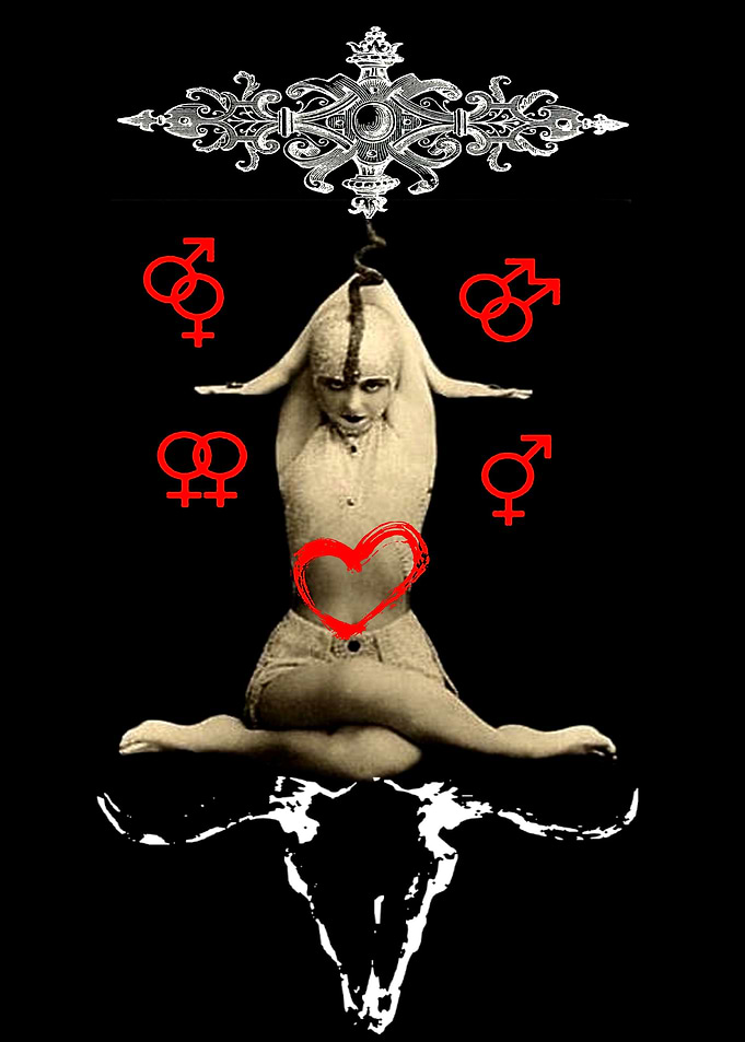 zodiac virgin