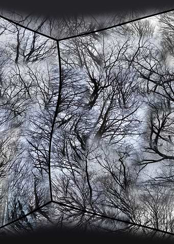 Analog Wood Gray Photocomposing 2013