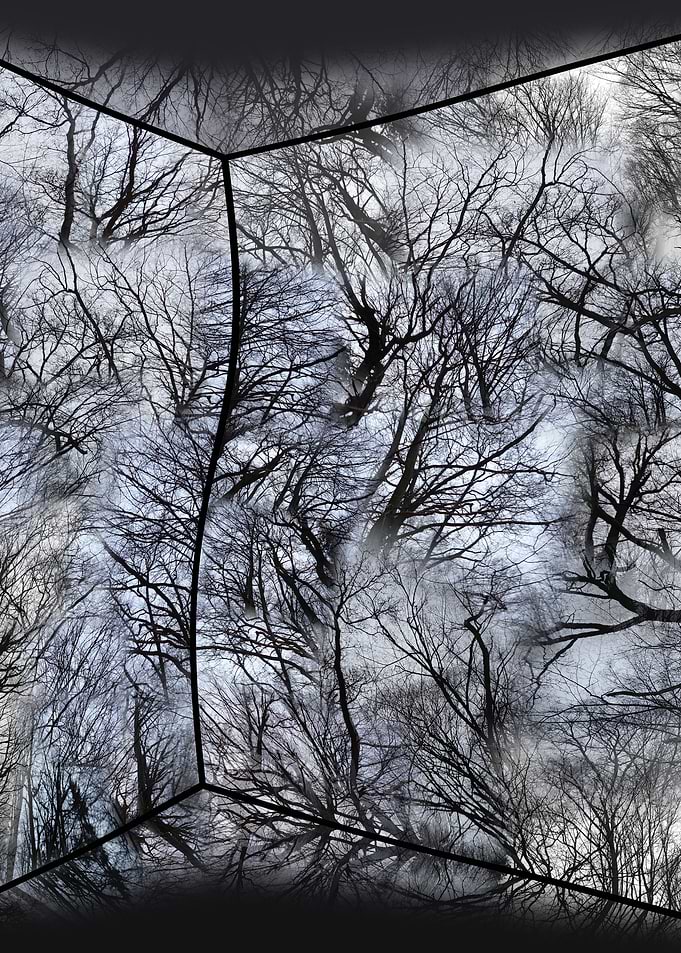 Analog Wood Gray Photocomposing 2013