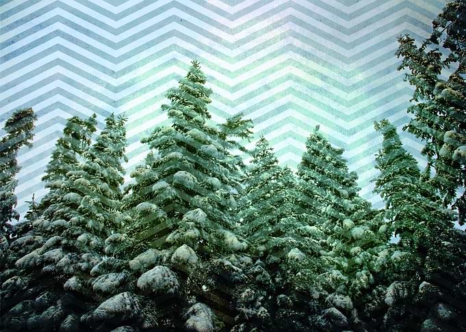 Snowy Chevron