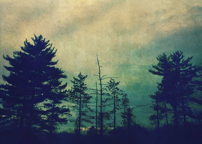 The Coming Storm