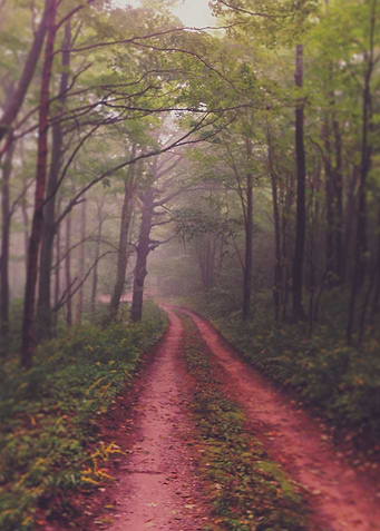 We Never Know What Lies Ahead