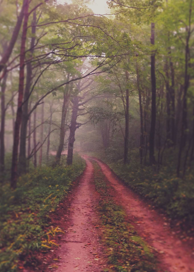 We Never Know What Lies Ahead