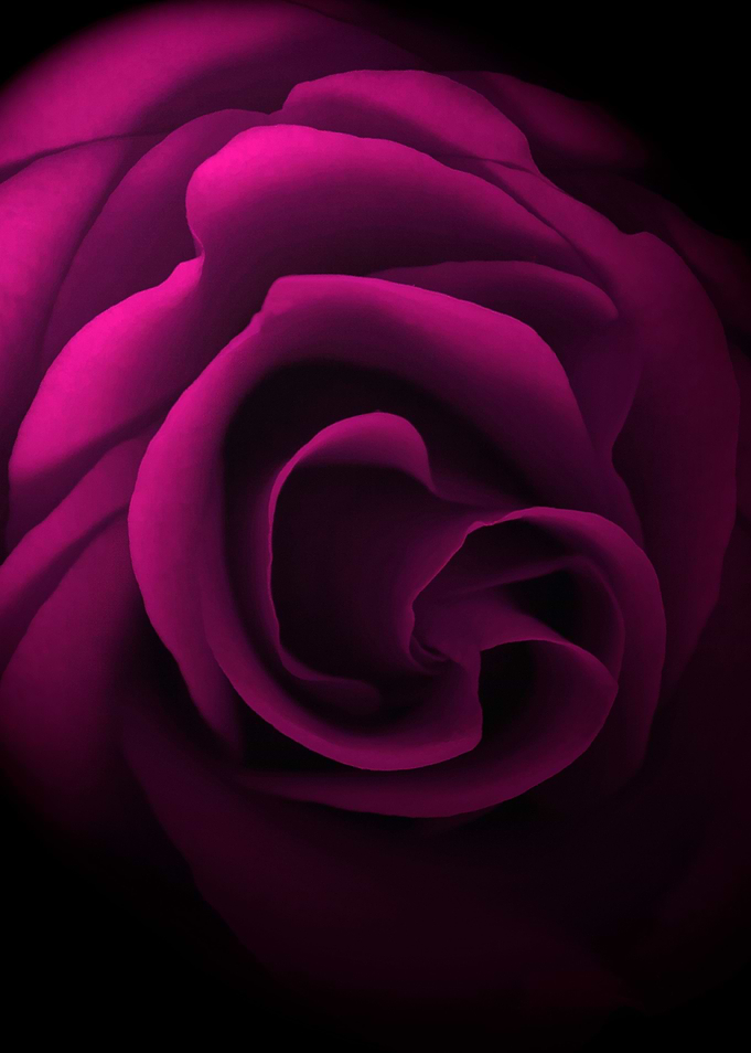 Pretty in Pink