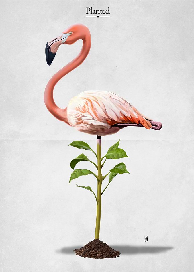 Planted