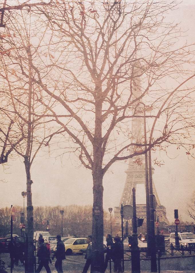 Fall in Paris 2