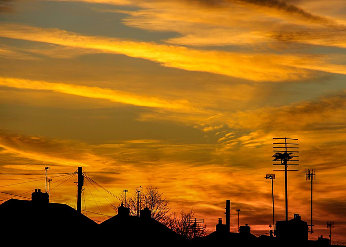 Morning Rooftops