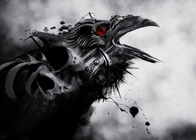 raven