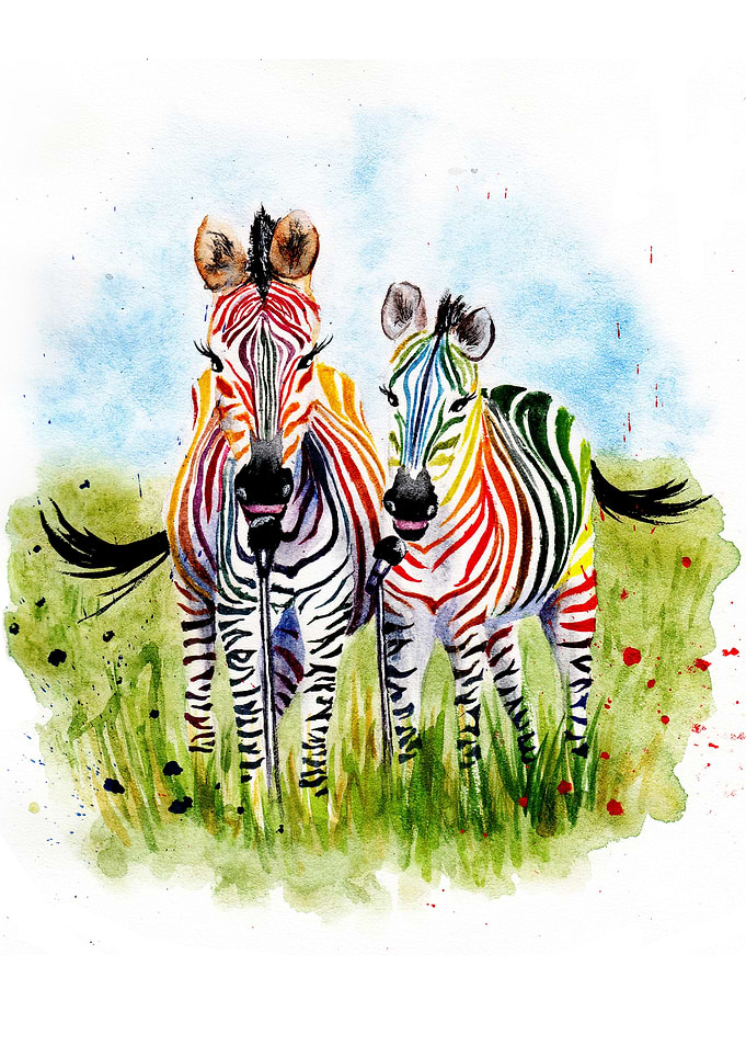 Zebra
