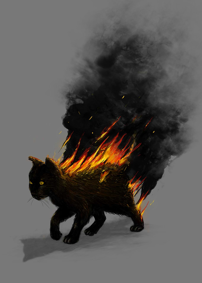 Cat On Fire!