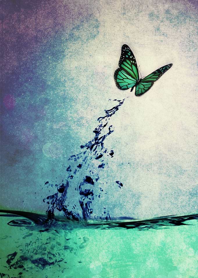 Waterfly I