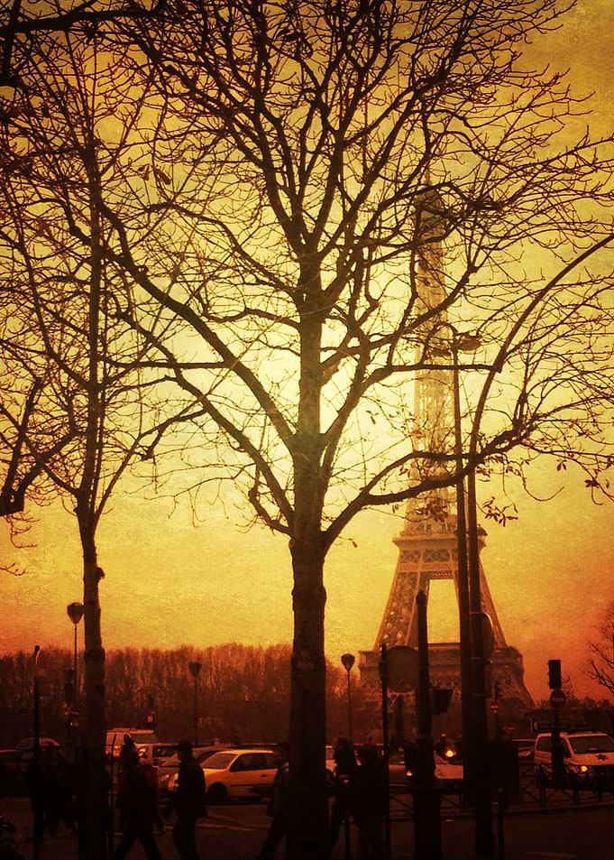 Fall in Paris 1