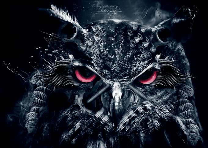 Dark owl (bruised but not beaten )