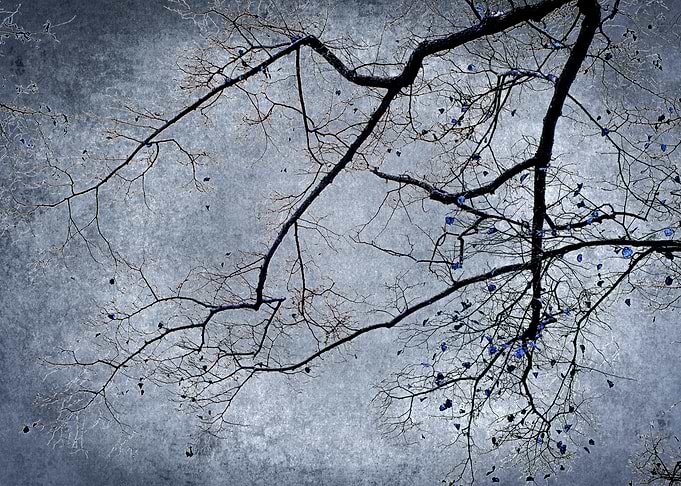 The Onset of Winter