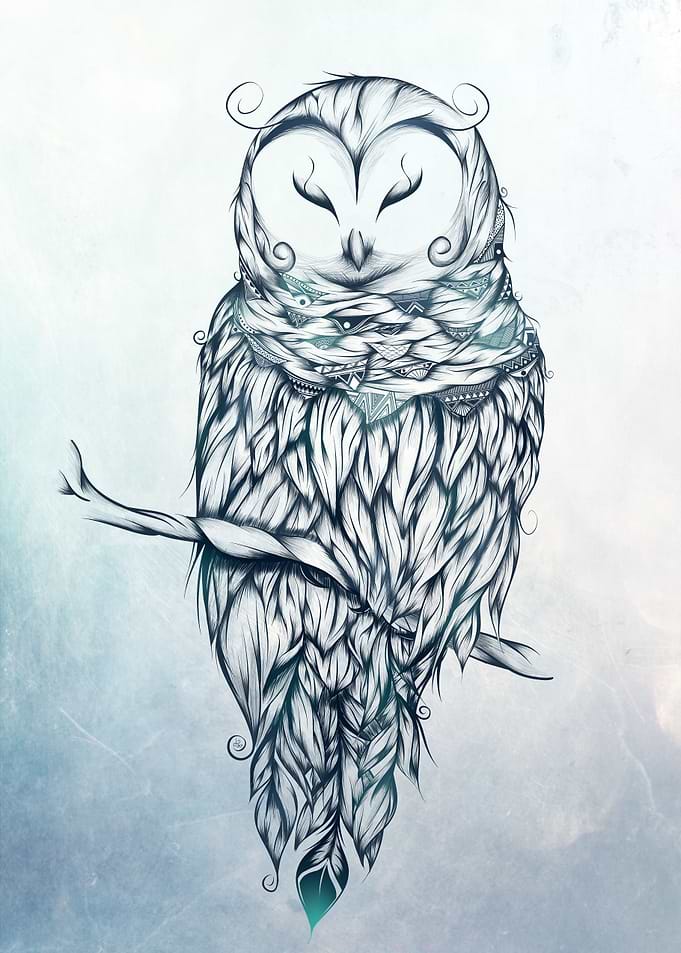Snow Owl