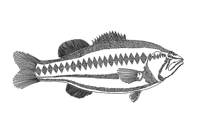 bass 2, one liner