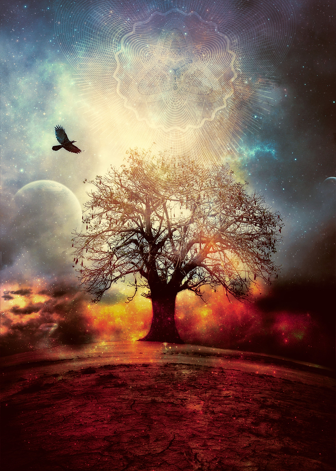 Dream: Level 1