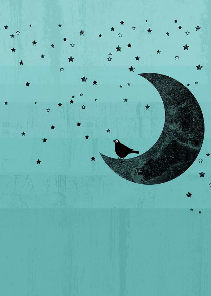 Moonlight